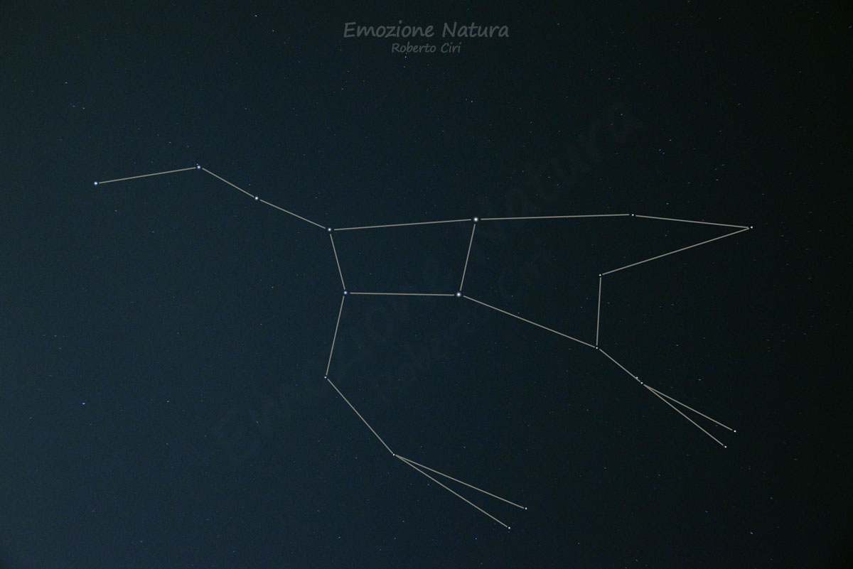 CS-Uma-linee