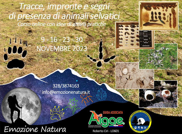Corso Riconiscimente tracce animali