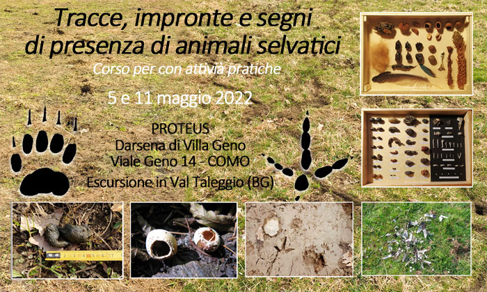 Corso tracce animali