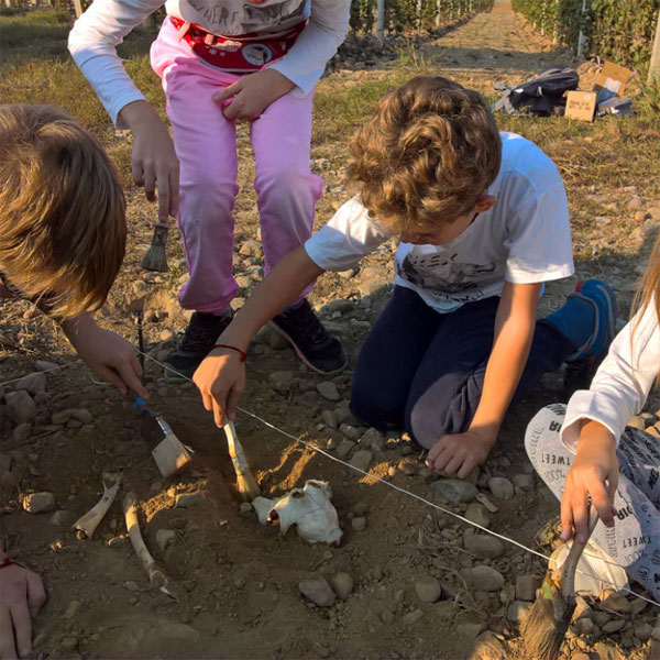 Attività di Educazione Ambientale e alla Sostenibilità