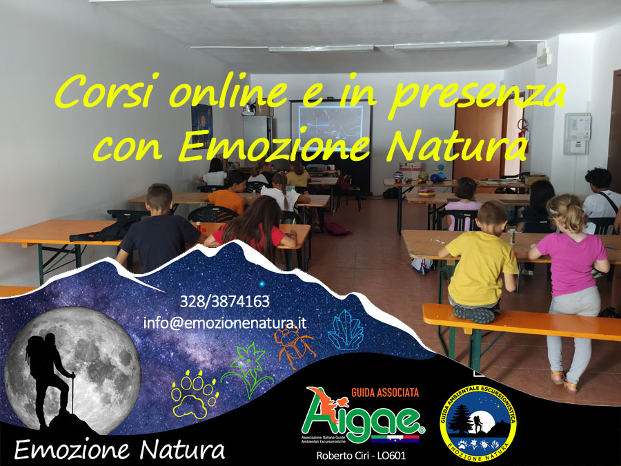 Corsi online e in presenza