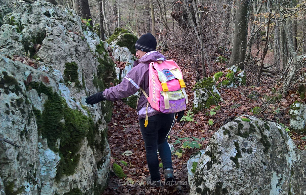 Scoprire la natura nel bosco