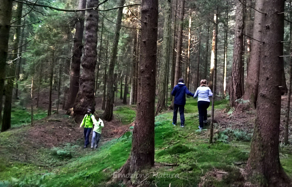 Esperienze nel bosco