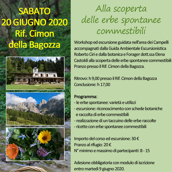 Wotkshop sulle erbe spontanee commestibili