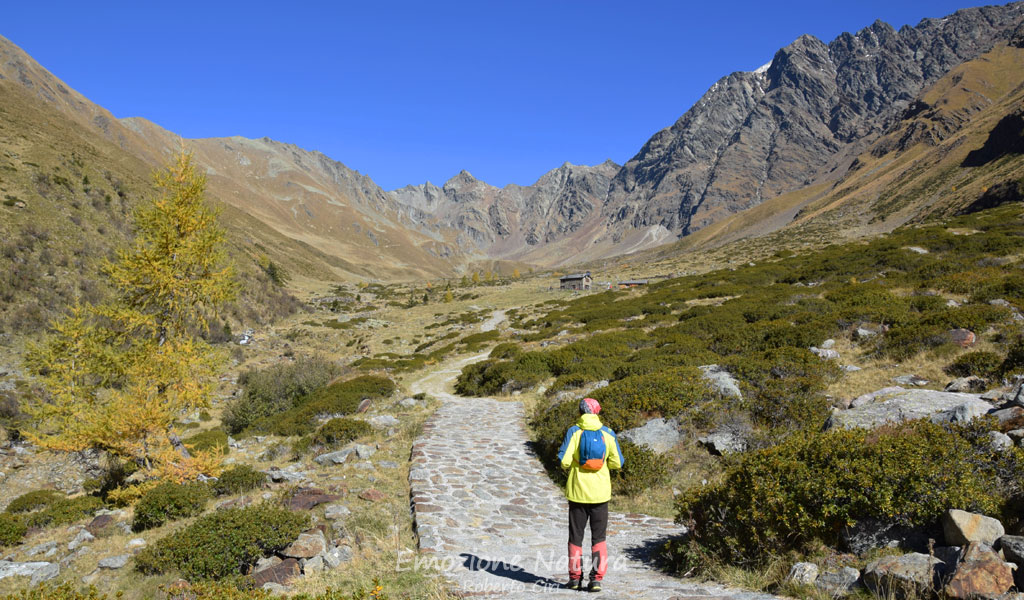 Escursioni e passeggiate