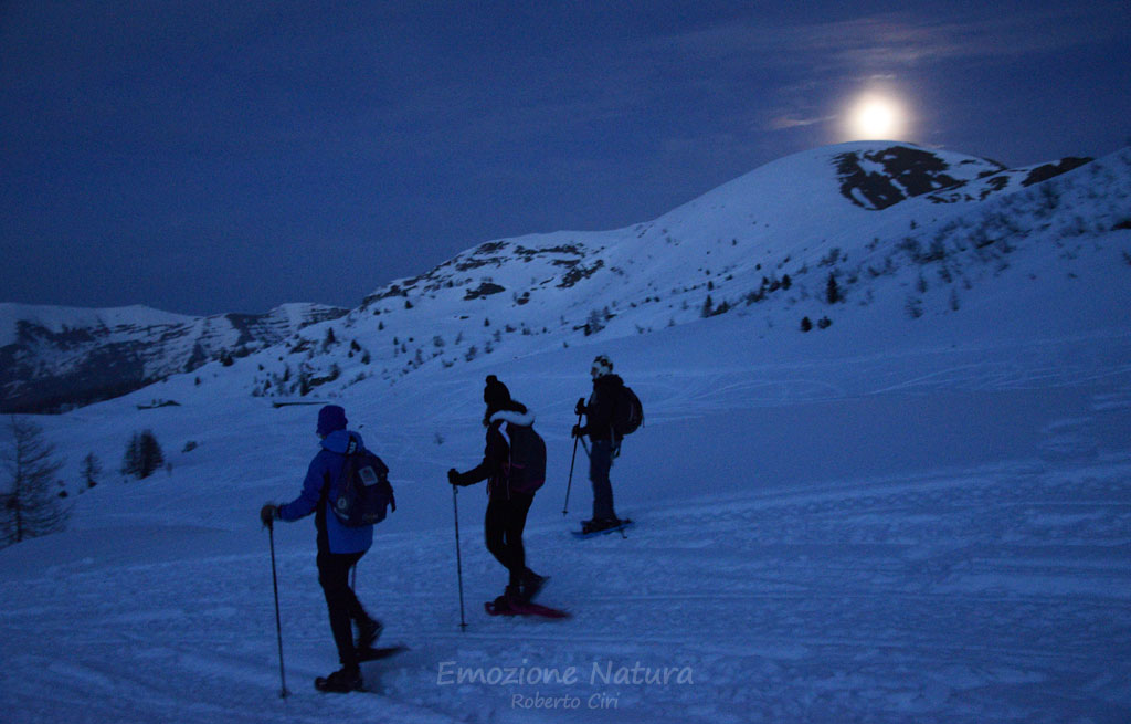 Escursioni al chiaro di luna