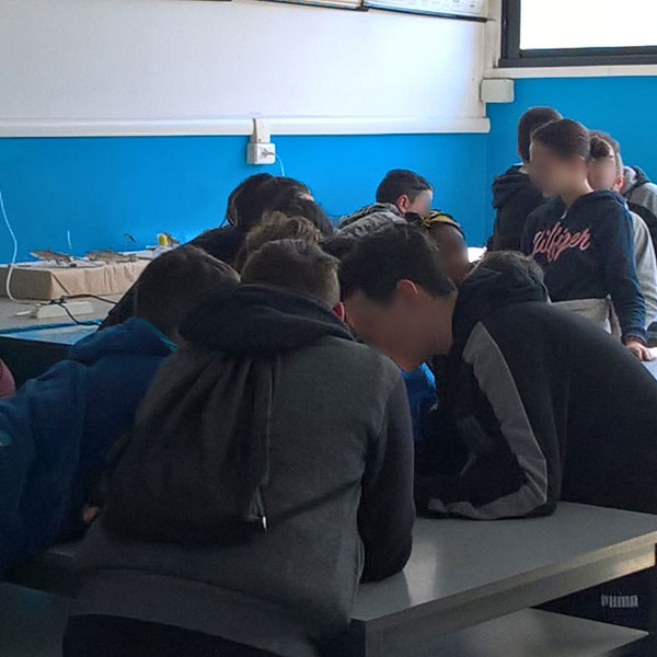 La Natura a scuola laboratori didattici scientifici