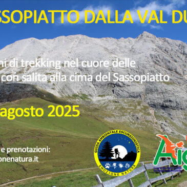 In vetta al Sassopiatto dalla Val Duron