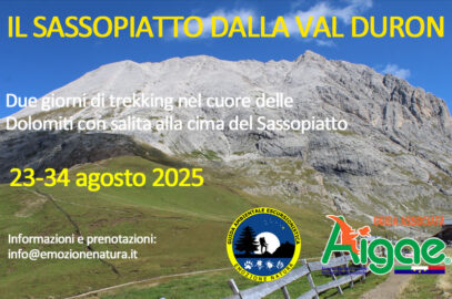 Trekking Sassopiatto